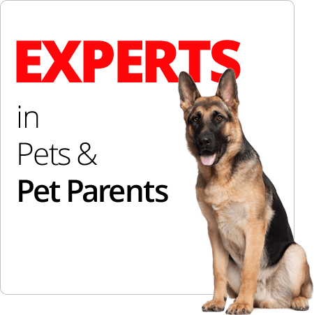 EXPERTS in Pets & Pet Parents