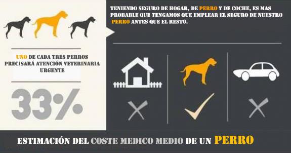 infografía SV 3 - What are the main benefits of Pet Health Insurance?