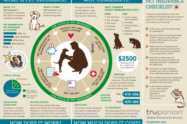 blog5 600x400 - Pet sector and pet insurance in Europe and Spain