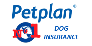 Banner Inglés - Pet Insurance for Dog Lovers in Spain