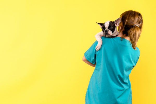front view of female veterinarian holding little dog on yellow wall 600x400 - COVERAGE AND REIMBURSEMENT