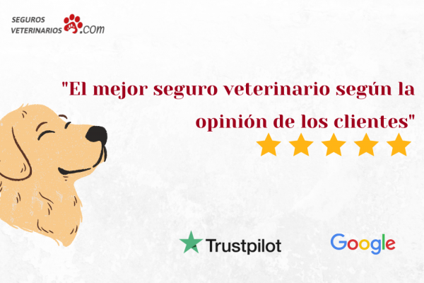 1 600x400 - El mejor seguro veterinario, según la opinión de los clientes