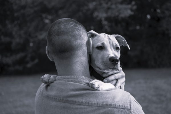 man hugging his friendly2 1 600x400 - EL IMPACTO EMOCIONAL Y FINANCIERO DE LA EUTANASIA: LA IMPORTANCIA VITAL DE LOS SEGUROS VETERINARIOS